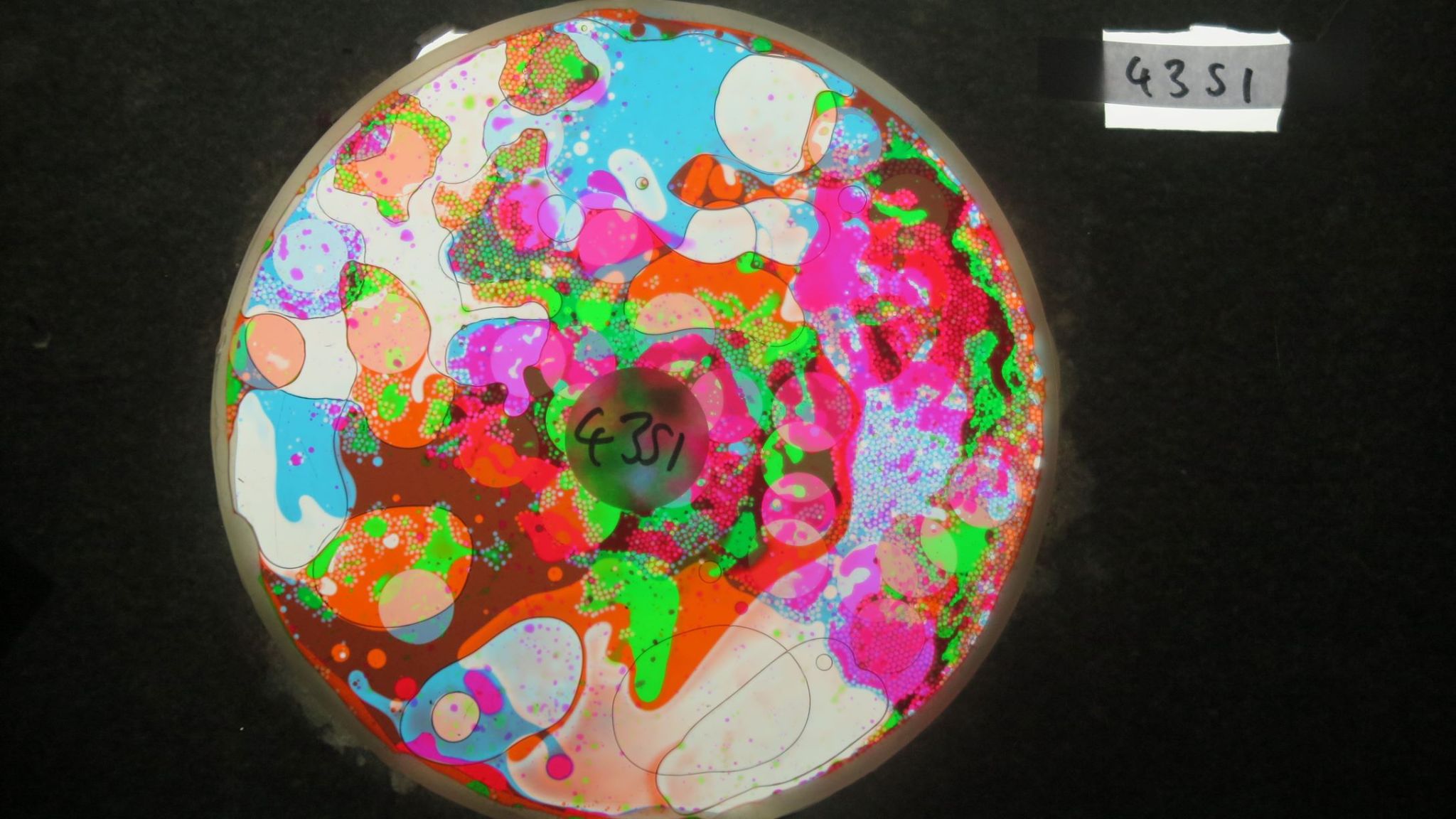 BV4351 bubble vision oil wheel